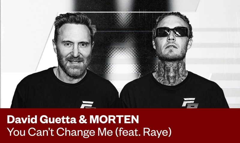 David Guetta Morten You Cant Change Me Feat Raye Remix Contest Spinnin Records